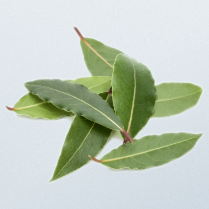 Bay Leaves