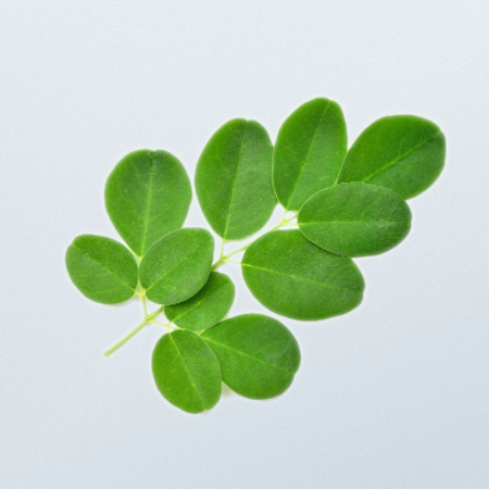 Moringa