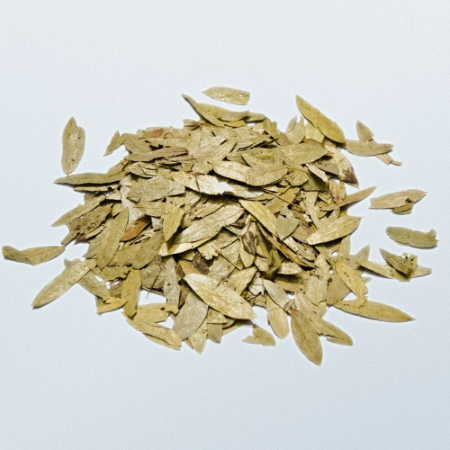 Senna Leaves