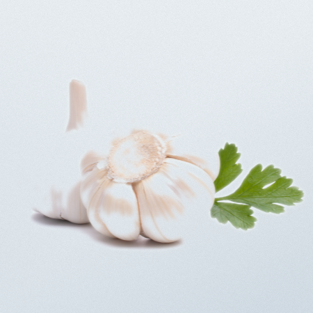 Garlic